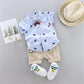 2PCS Baby Set Hot Summer All Over Crown Random Print Pattern Standing Neck Short Sleeve Shorts Set