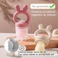Baby Feeding Pacifier – Fruit & Vegetable Silicone Feeder