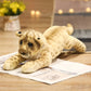 Lion, Tiger & Leopard Plush – Soft Stuffed Toy for Kids