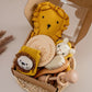 Newborn Bath Gift Set – Cotton Blanket, Milestone Cards & Rattle