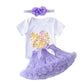 Baby Girl Birthday Set – Tutu Skirt & Headband for 1Y+