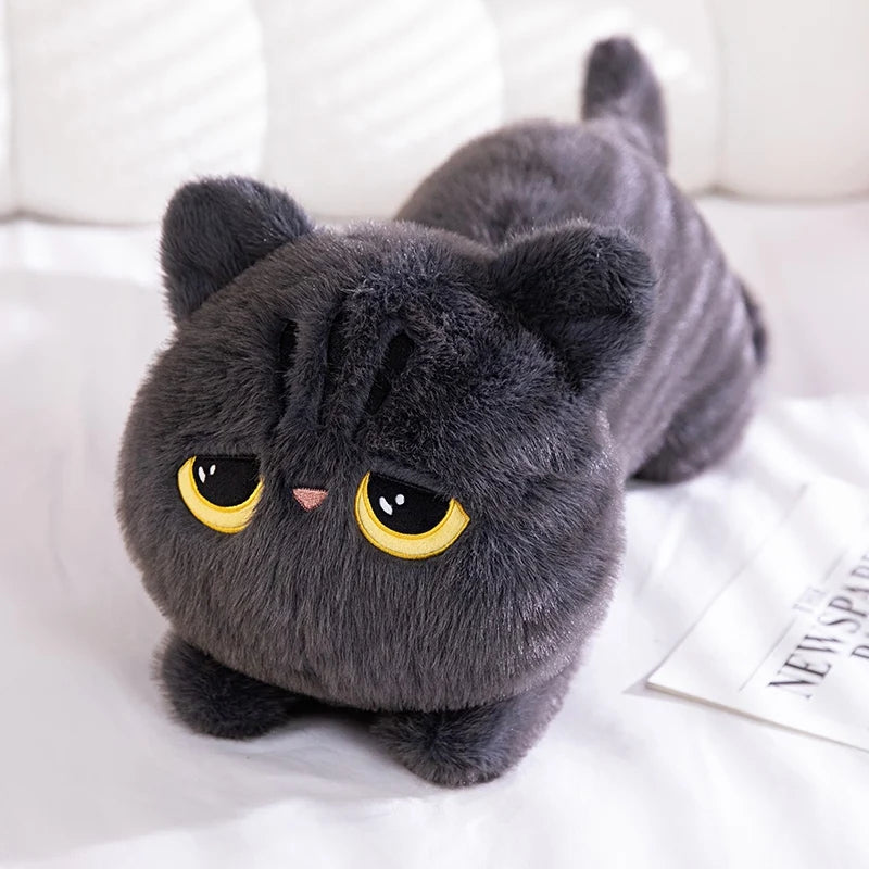 Peluche Chat Noir – Coussin Câlin pour Enfants